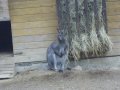 IMGP3645.JPG
